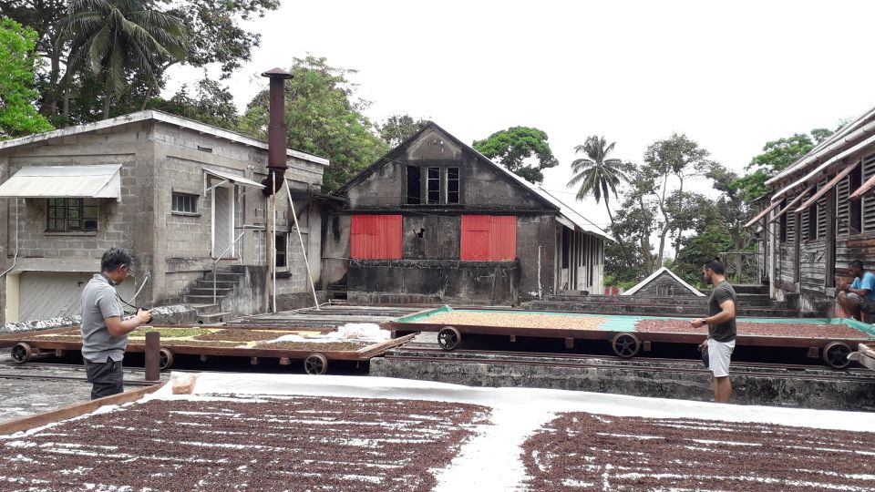 Grenada: Spice Island Expedition. - Visiting the Grenada Nutmeg Museum