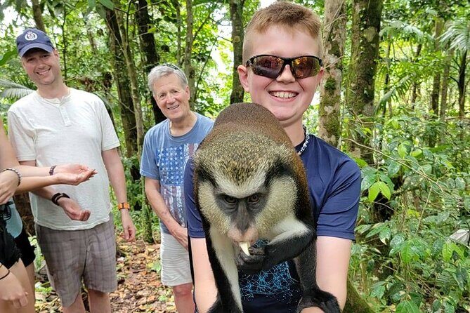 Grenada tropical escape Customizable Island Tour, nature explore - Introduction