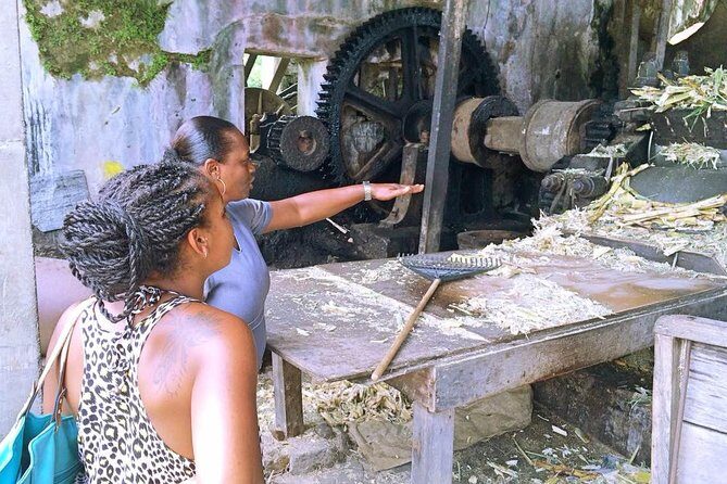 Grenada West Coast: Waterfalls, Chocolate & Rum Half-Day Tour - What Travelers Say