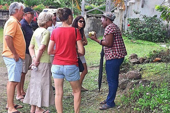 Grenada West Coast: Waterfalls, Chocolate & Rum Half-Day Tour - Who Should Book This Tour?