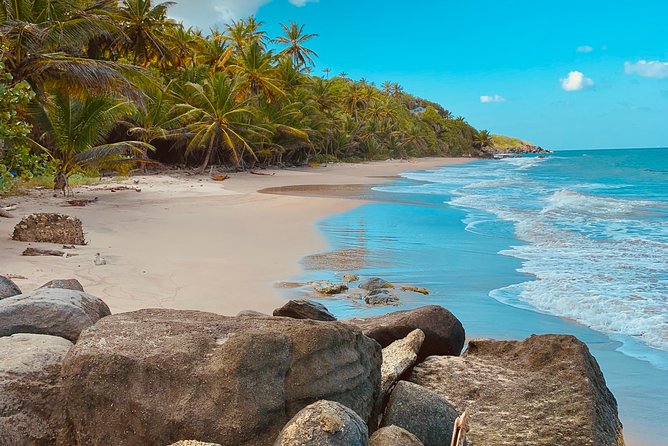 Grenada Western and Northern Day Tours - What to Expect During the Tour
