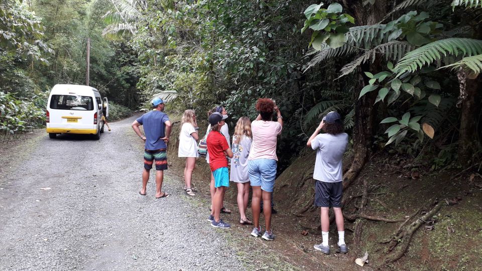 Grenadas Essence: A Personalized Private Spice Tour - Scenic Lagoon and Carenage