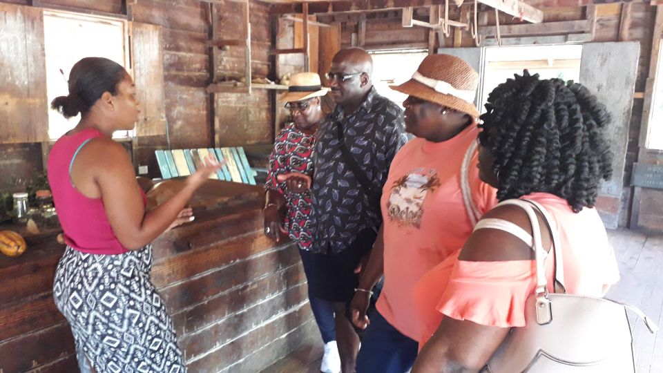 Grenadas Essence: A Personalized Private Spice Tour - Rainforest Immersion