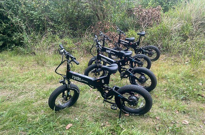 Grenada's Ryde the Vibes E-Bike Experience - Who Will Love This Tour?