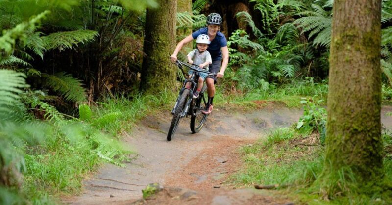 Grenoble: Electric Mountain Bike Rental - Cancellation Policy