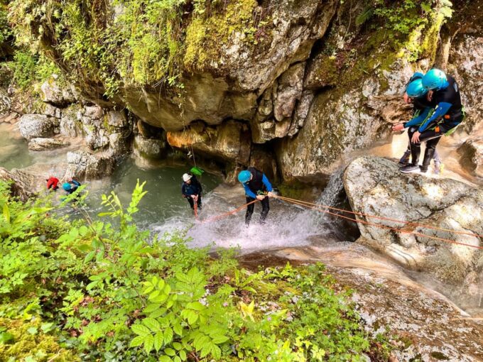 Grenoble, Vercors: Explore the Versoud Canyoning With Fun - Exceptional Customer Feedback