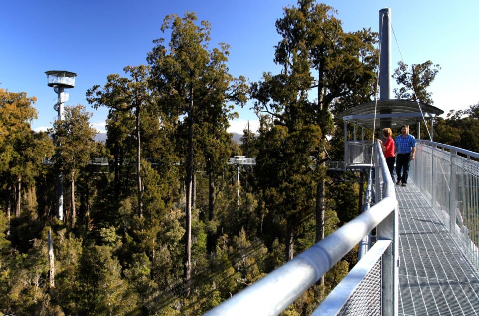 Greymouth: Hokitika Gorge and Tree Top Walkway Half-Day Tour - Booking Information