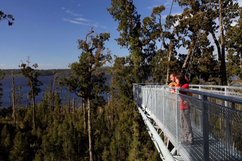 Greymouth: Hokitika Gorge and Tree Top Walkway Half-Day Tour - Inclusions and Additional Info