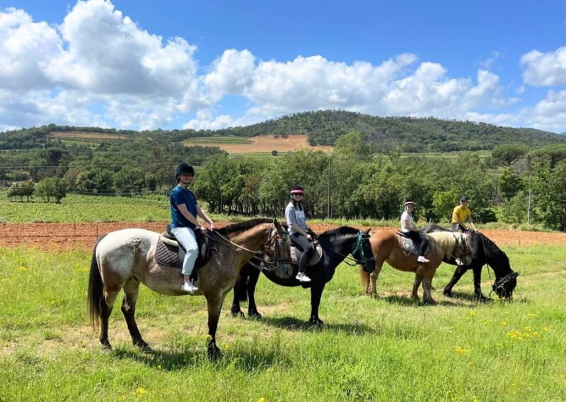 Grimaud: Horseback Riding & Wine Tasting in Maures Forest - Key Points