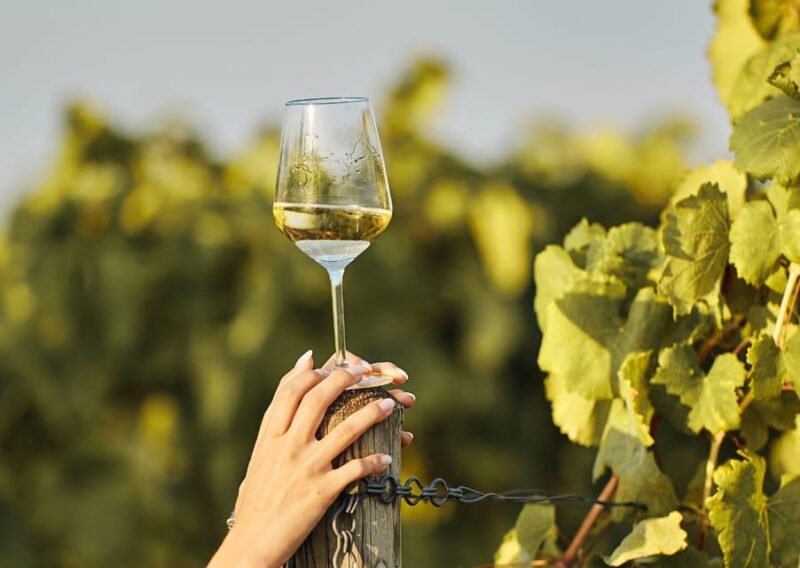 Grimaud: Horseback Riding & Wine Tasting in Maures Forest - Scenery and Landscapes