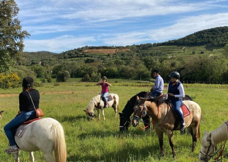 Grimaud: Horseback Riding & Wine Tasting in Maures Forest - Additional Offers