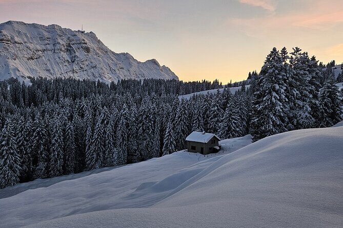 Grindelwald, Lauterbrunnen and Swiss Alps region - Who Should Consider This Tour?