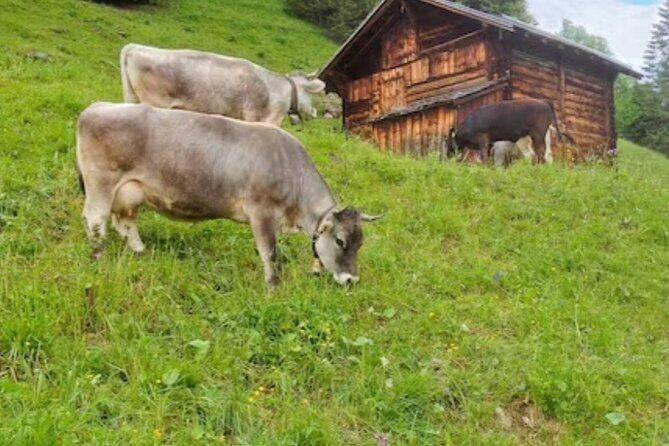 Grindelwald, Lauterbrunnen and Swiss Alps region - The Sum Up: The Value Proposition