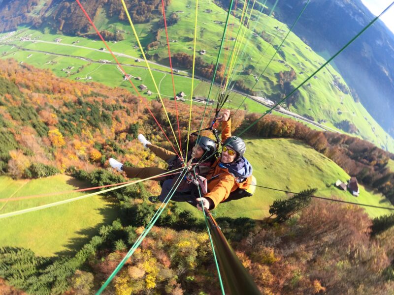 Grindelwald: Paragliding Tandem Flight - Key Points