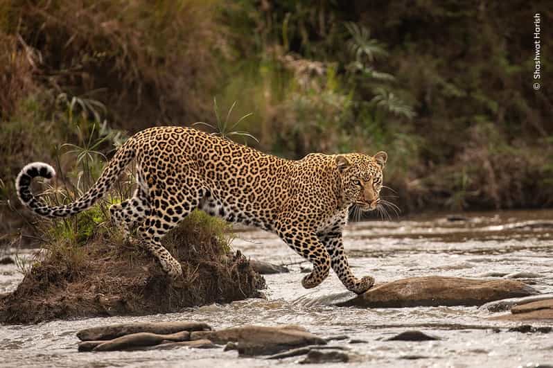 Groningen: Expo Wildlife Photographer of the Year at Forum - Experience Highlights