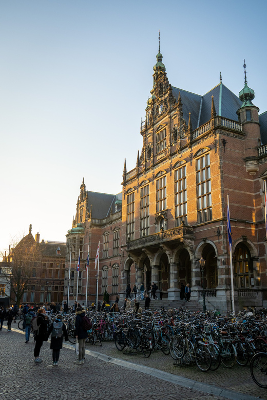 Groningen: Walking Tour With Local Guide - Tour Overview