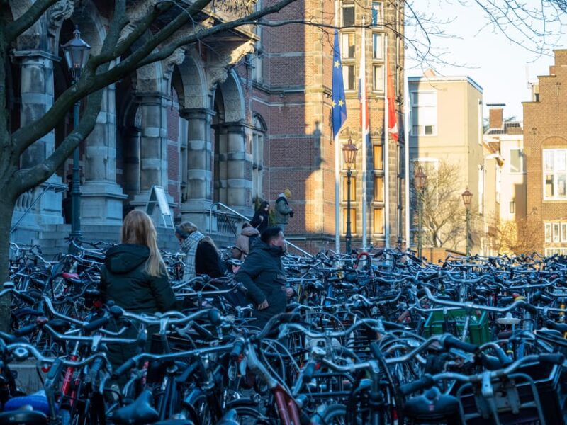 Groningen: Walking Tour With Local Guide - Experience Highlights