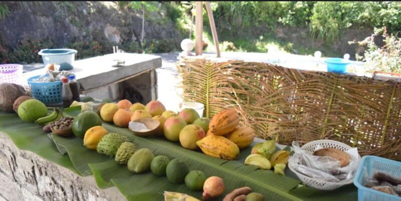 Gros Piton Adventure with Tour For The Day - Who Should Consider This Tour?