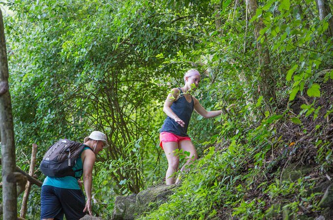 Gros Piton Hike - Cost and Value: Is It Worth It?