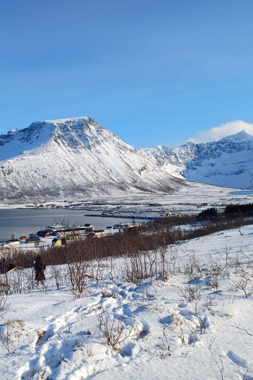 Grøtfjord, Tromsø. Unique Arctic Scenic Route. - Wildlife Spotting Opportunities