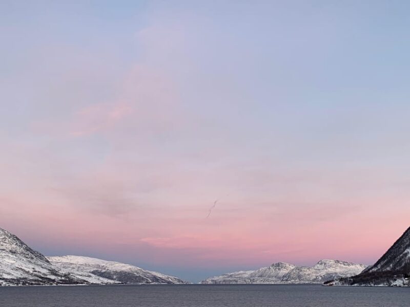 Grøtfjord, Tromsø. Unique Arctic Scenic Route. - Local Cuisine Tasting