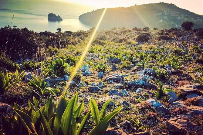 Grotte Di Capo Palinuro - Who Should Book This Tour?
