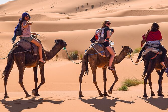 Group 3-Day Marrakech to Merzouga Desert Tour - Day 3 Return Journey