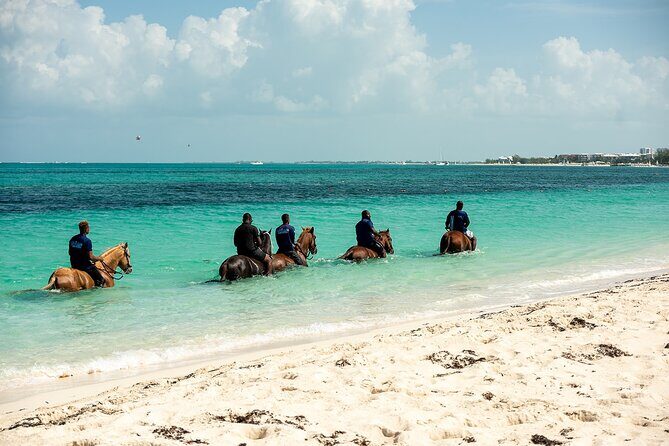 Group Beach and Ocean Horseback Adventure in Providenciales - What to Expect from This Horseback Adventure