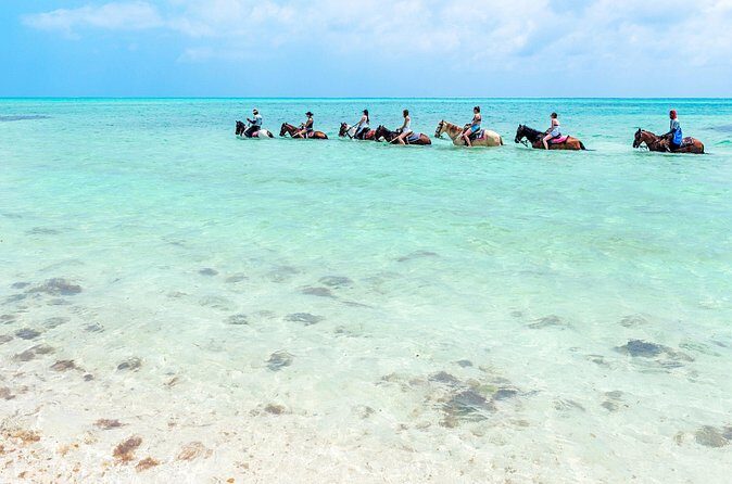 Group Beach and Ocean Horseback Adventure in Providenciales - Authentic Experiences Based on Reviews