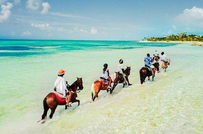 Group Beach and Ocean Horseback Adventure in Providenciales - Who Will Love This Tour?