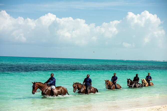Group Beach and Ocean Horseback Adventure in Providenciales - The Sum Up: Who’s It Best For?