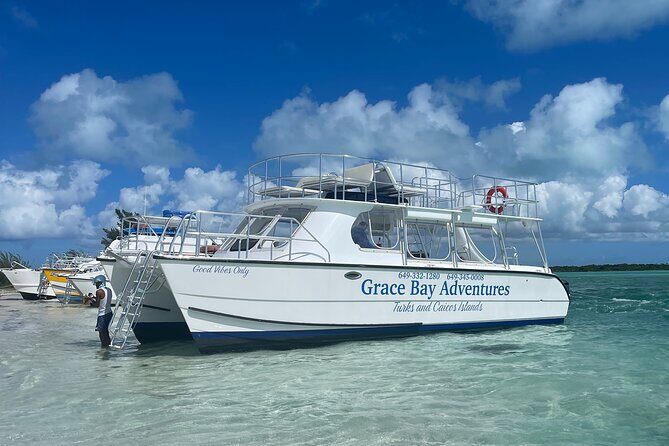 Group Catamaran 4 hr tour coral reef fun Iguana island adventure! - Key Points