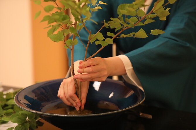 Group Charter Japanese Traditional Flower Arrangement in Tokyo - Included Materials for the Activity