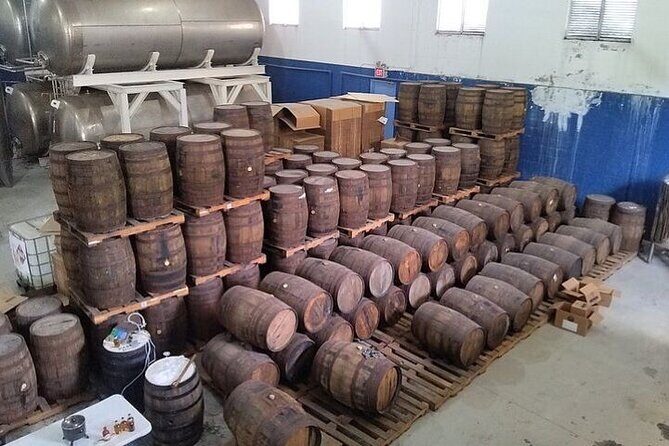 Group City Tour and Beach Experience from Cruise Port - An In-Depth Look at What This Tour Offers