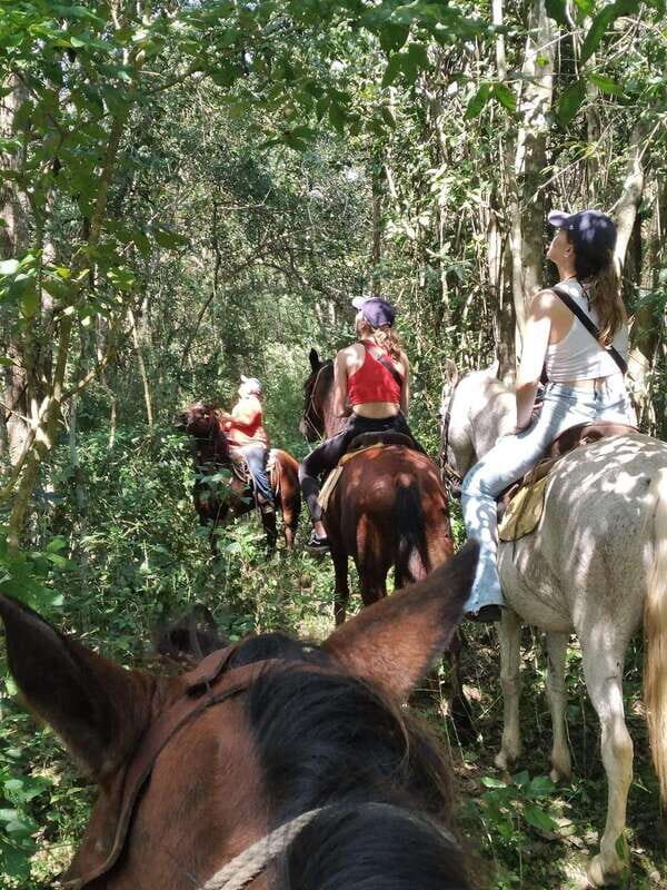 Group horseback ride on Holbox Island, Quintana Roo - Key Points