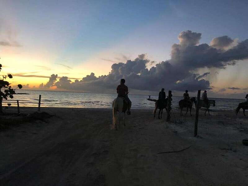 Group horseback ride on Holbox Island, Quintana Roo - What to Expect from the Horseback Ride Experience