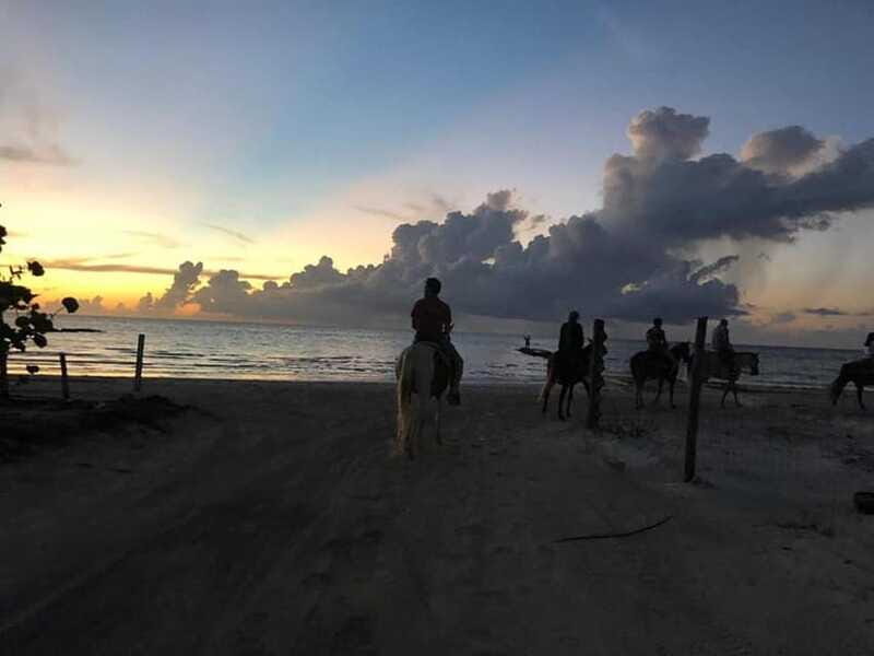Group horseback ride on Holbox Island, Quintana Roo - Authenticity and Value: What Travelers Say