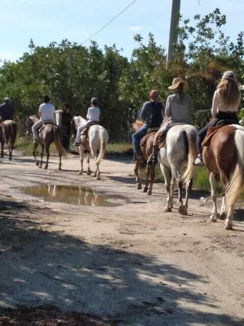 Group horseback ride on Holbox Island, Quintana Roo - Frequently Asked Questions
