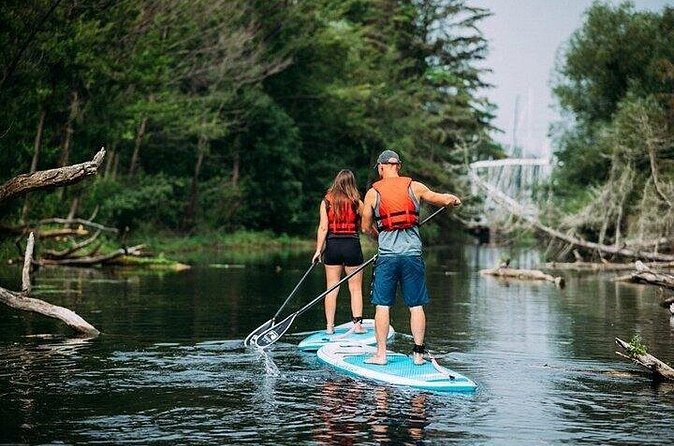 Group Intro to SUP in Toronto Island, Canada - Duration and Value