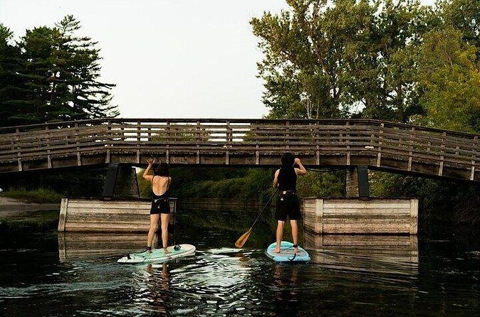 Group Intro to SUP in Toronto Island, Canada - Authentic Experiences from Reviewers