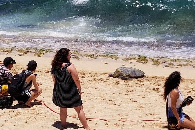 Group priced Food Distillery Brewery half island private tour - The Reviews Speak Volumes