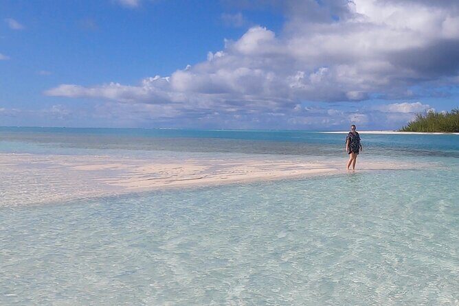Group Reef, Beach and Sandbar Tour from Providenciales - An Overview of the Experience