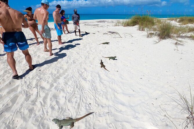 Group Reef, Beach and Sandbar Tour from Providenciales - Who Should Book This Tour?