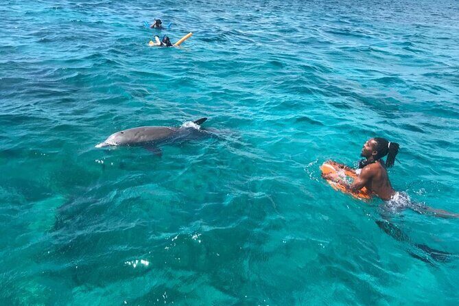 Group Reef, Beach and Sandbar Tour from Providenciales - Final Thoughts