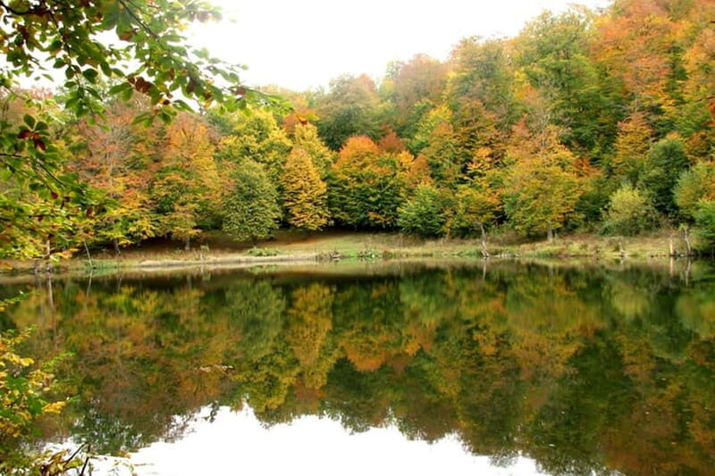 Group Tour: Dilijan, Parz Lake, Makaravank, wine factory - Practical Considerations and Value