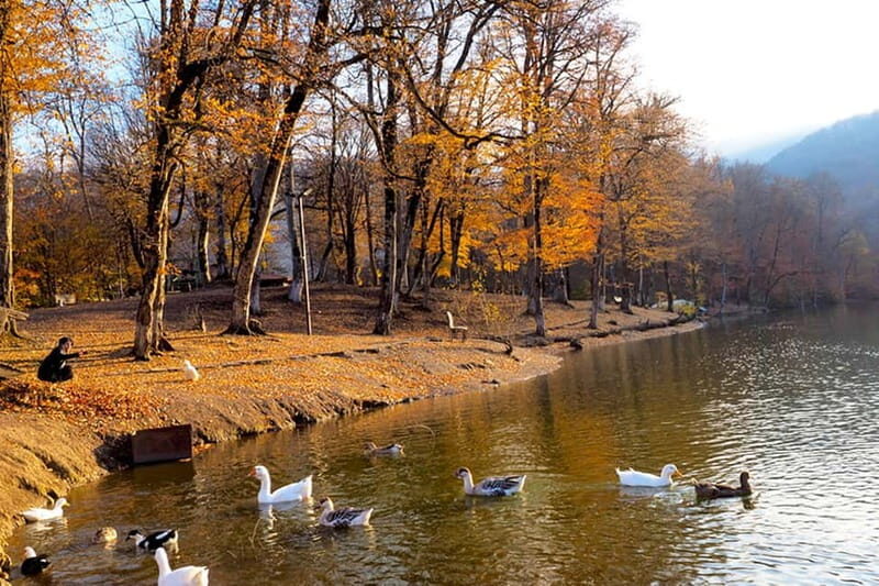 Group Tour: Dilijan, Parz Lake, Makaravank, wine factory - FAQs