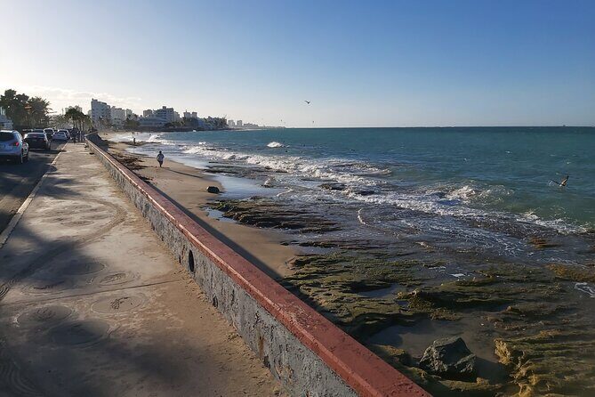 Group Transportation in airport, cruise ships, hotels, bnb's in San Juan, PR - Analyzing the Value