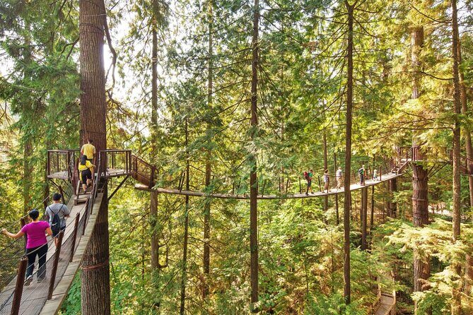 Grouse Hike and Capilano Bridge - Duration and Pacing