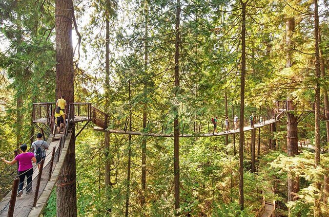 Grouse Hike and Capilano Bridge - Accessibility and Considerations