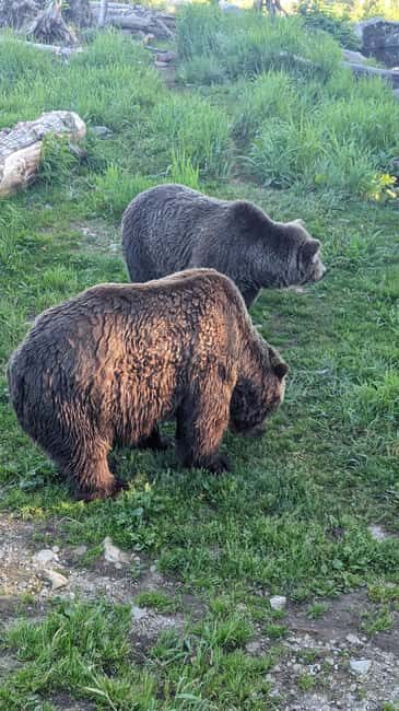 Grouse Mnt+StanleyPark+Hatchery+Cleveland Dam+LynnCanyonTOUR - Key Points